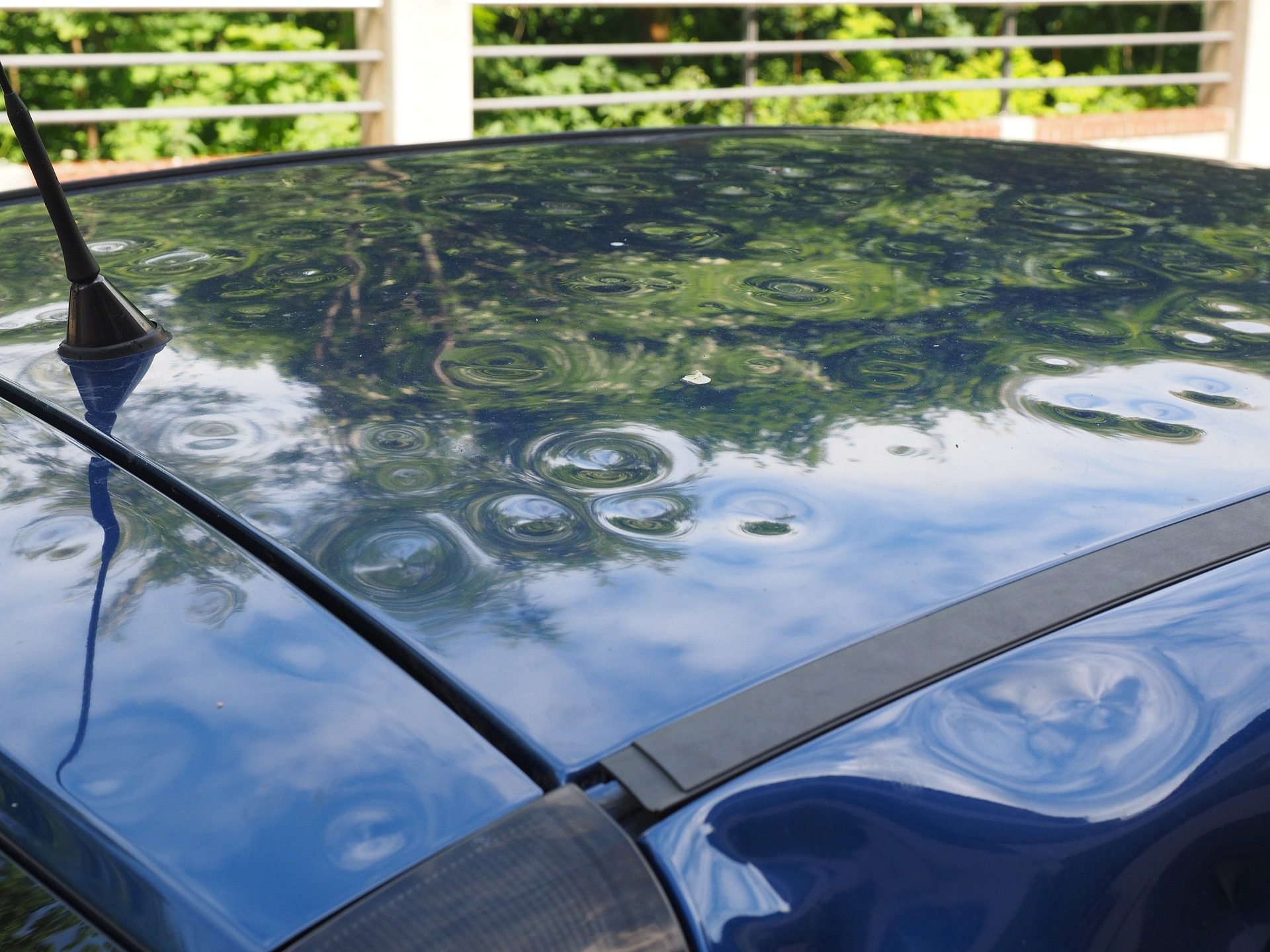 Wind and Hail Insurance Coverage