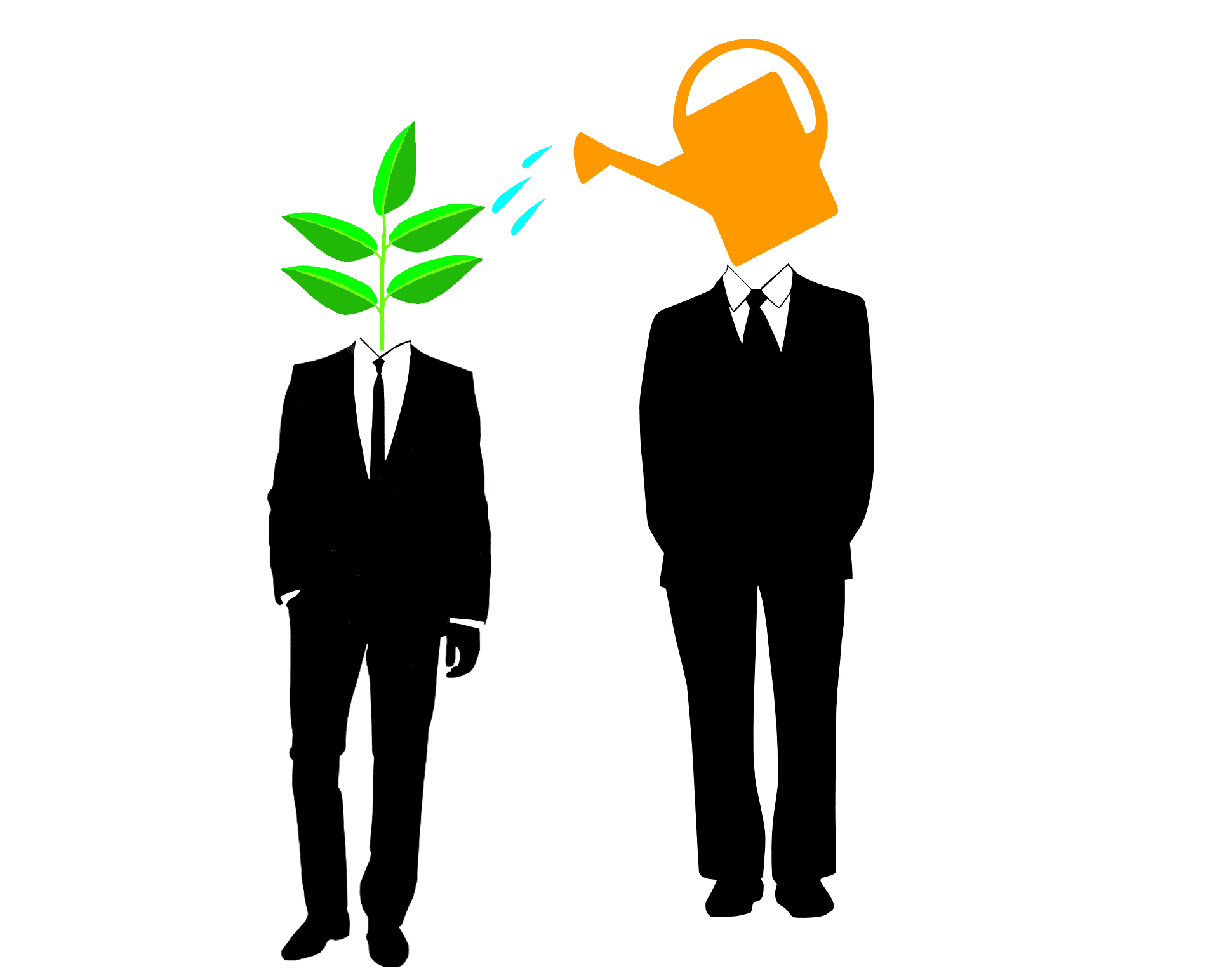 Mentorship Programs in the Workplace