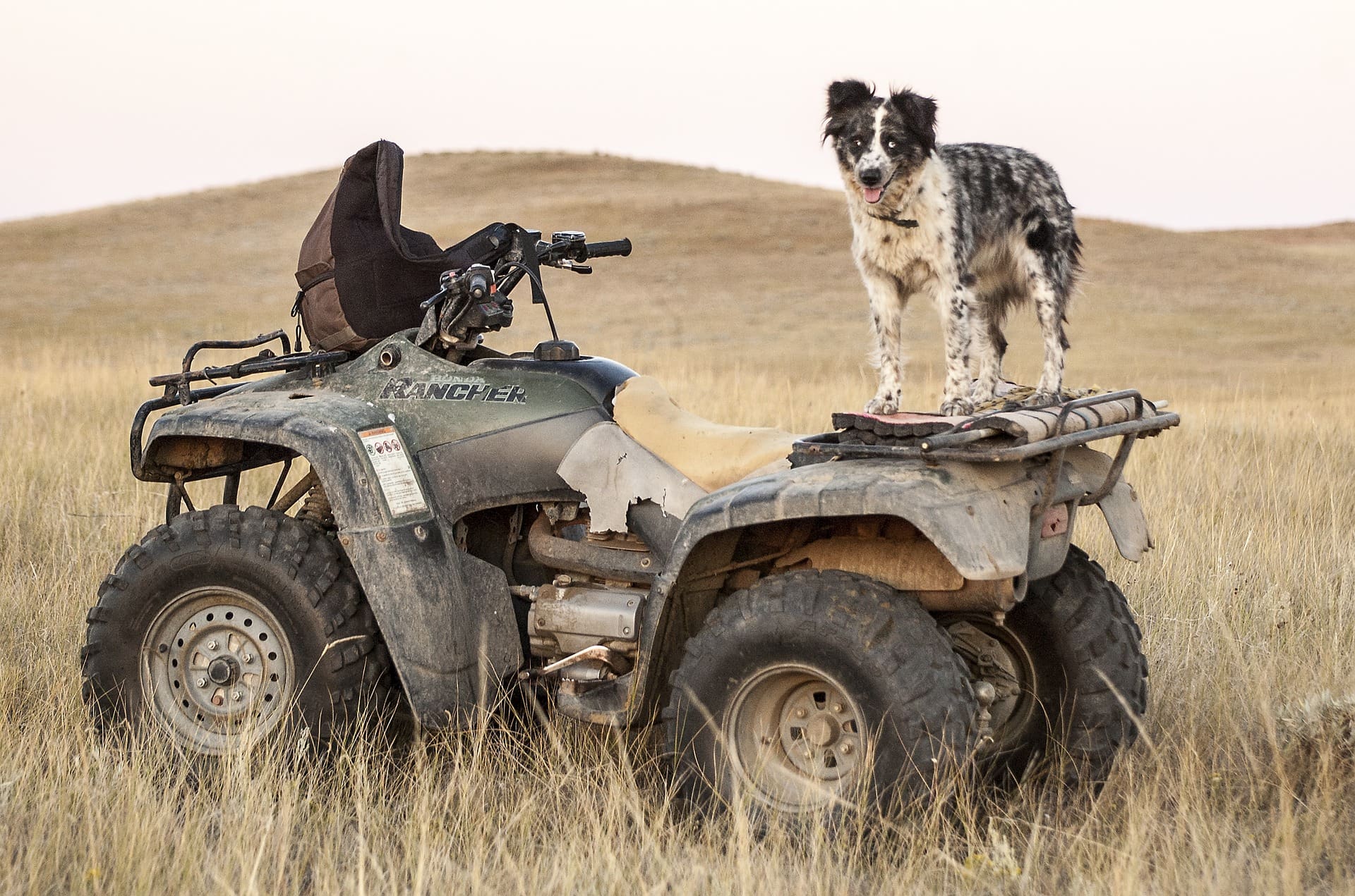 atv in a field